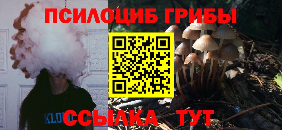 Псилоцибиновые грибы Magic Shrooms  Галлюциногенные грибы Magic Shrooms  сколько стоит  Гулькевичи 