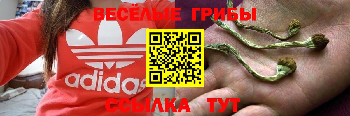 Галлюциногенные грибы прущие грибы Гулькевичи